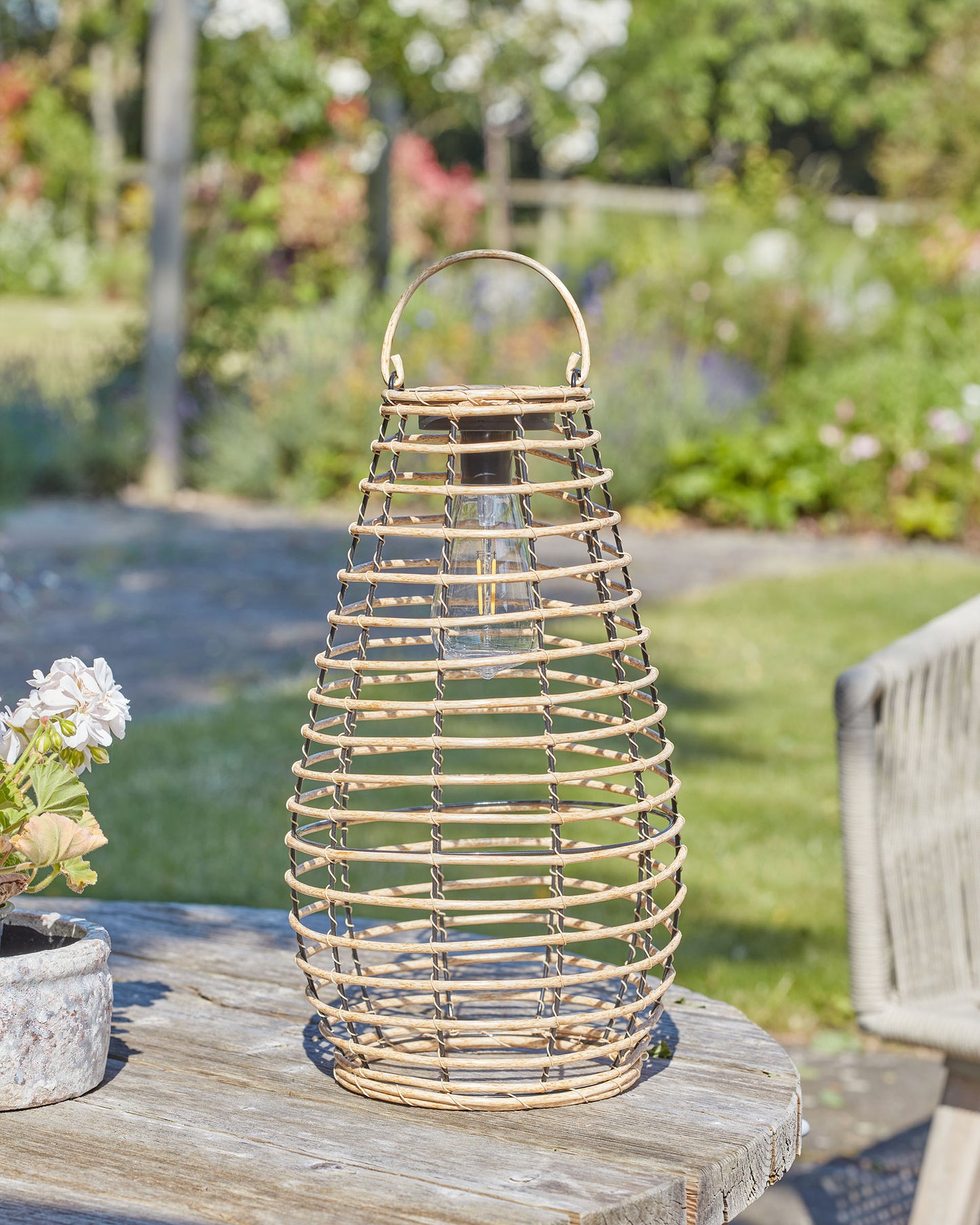Venus Lantern