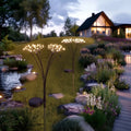 Starburst Solar Stake Light - Set Of 2