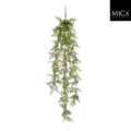 Fern Hanging Green