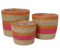 Planter Sea Grass