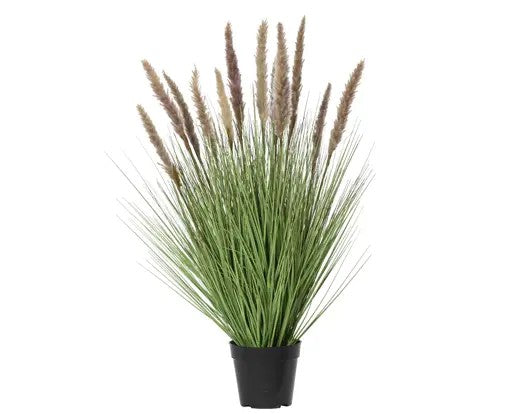 Plant in pot pvc pampus