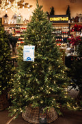 Andalo Fir Nostalgic 6ft Pre-Lit Artificial Christmas Tree