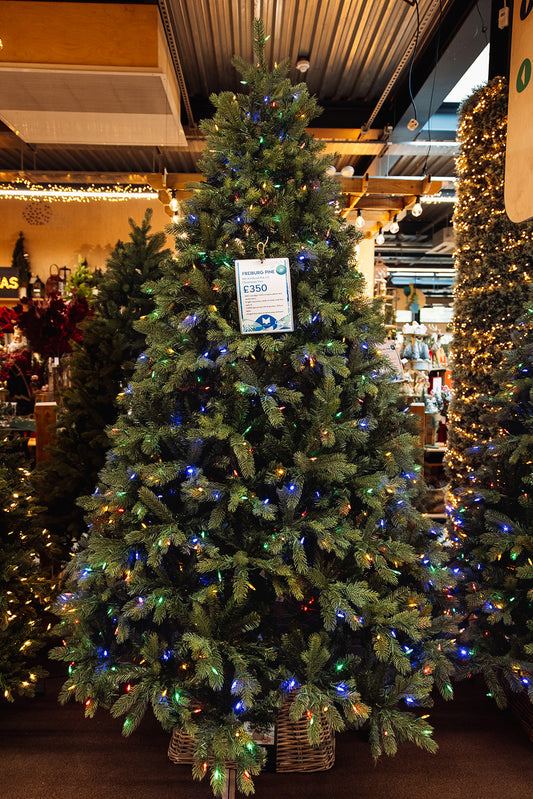 Freiburg Pine Nostalgic 8ft Pre-Lit Christmas Tree