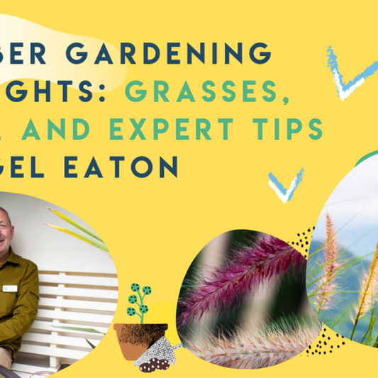 October Gardening Highlights: Grasses, Bulbs, and Expert Tips by Nigel Eaton