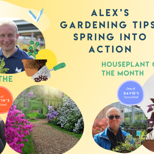 Bloom & Grow – Alex’s Must-Do Gardening Tasks for April