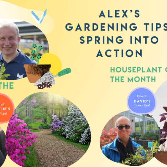 Bloom & Grow – Alex’s Must-Do Gardening Tasks for April