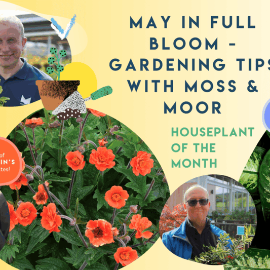May in Full Bloom - Gardening Tips with Moss & Moor
