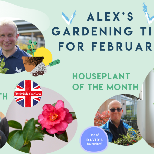 Getting Ready for Spring: Alex’s February Gardening Advice