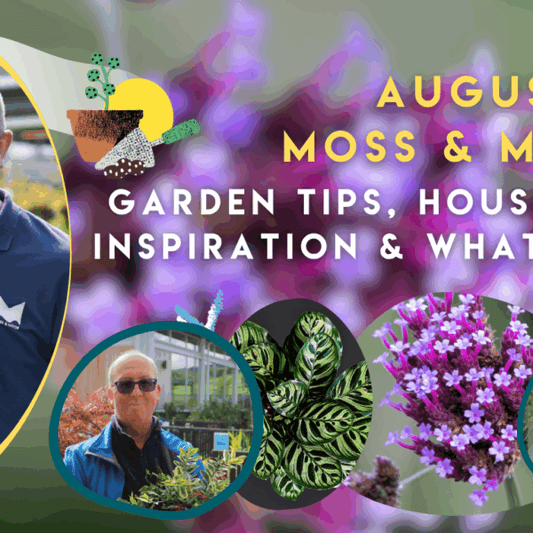 August at Moss & Moor: Garden Tips, Houseplant Inspiration & What’s New