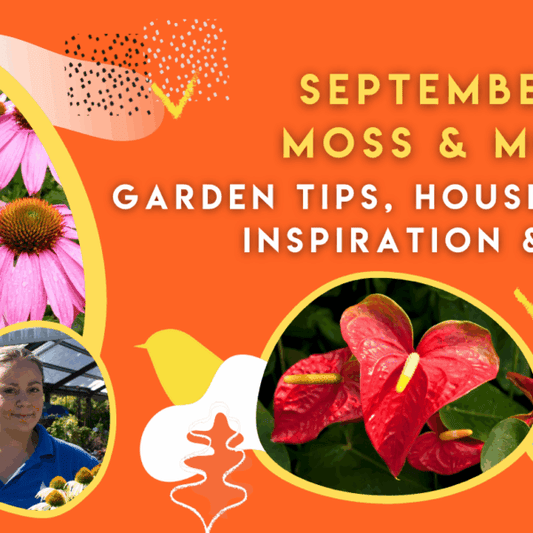 September at Moss & Moor: Garden Tips, Houseplant Inspiration & More