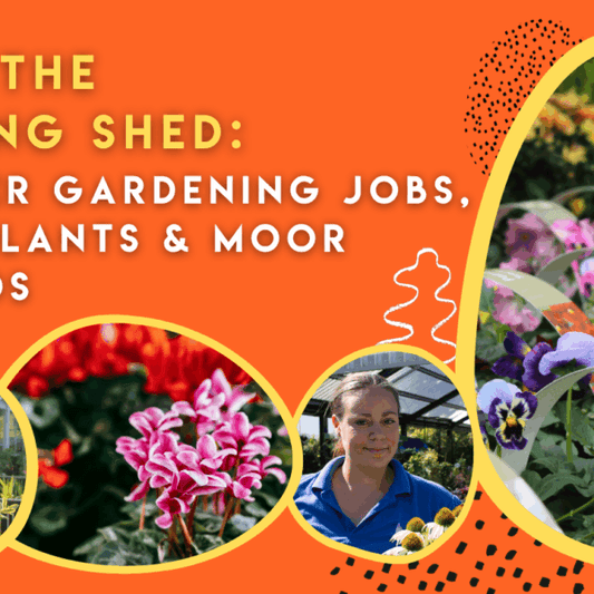 From the Potting Shed: October Gardening Jobs, Houseplants & Moor Rewards