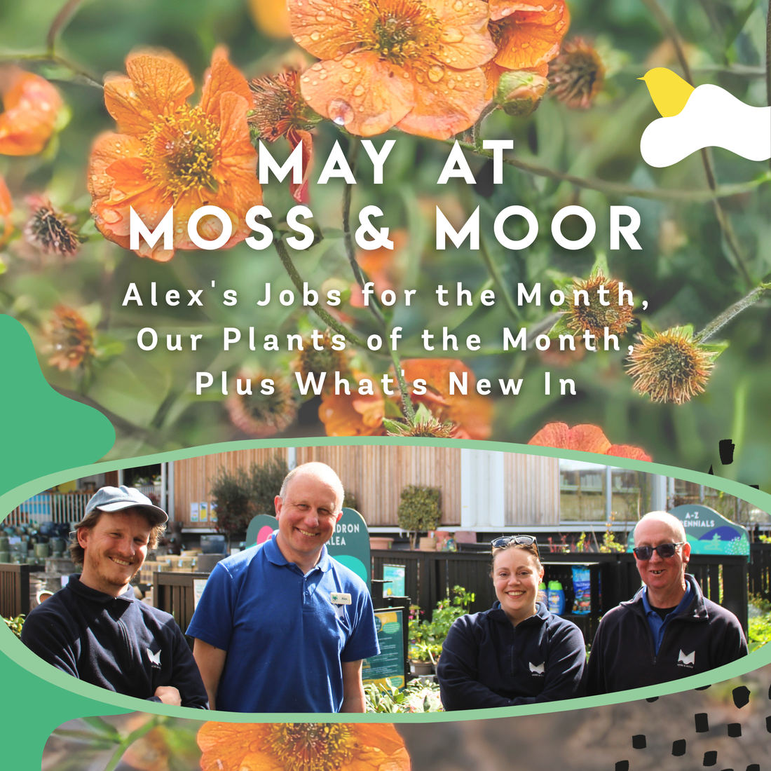 May in the Garden: Alex's Jobs for the Month, Our Houseplant of the Month, Plus What's New In