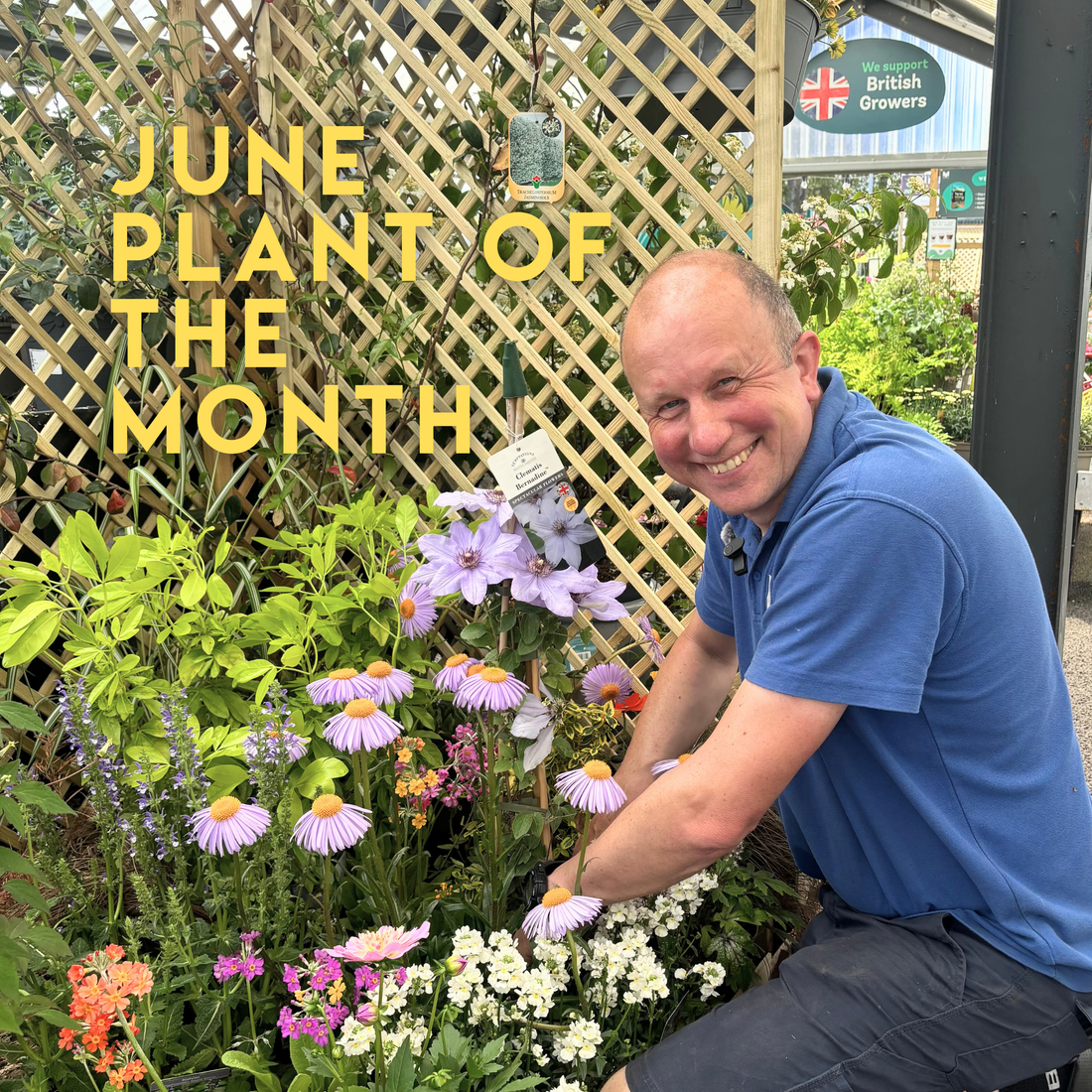 June Plant of the Month: Clematis