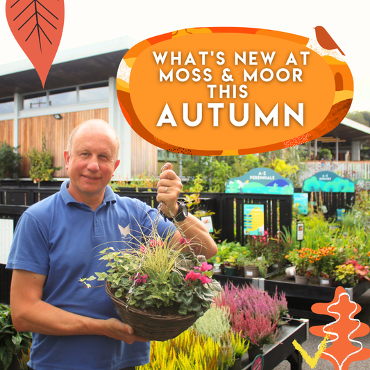 What's New at Moss & Moor This Autumn