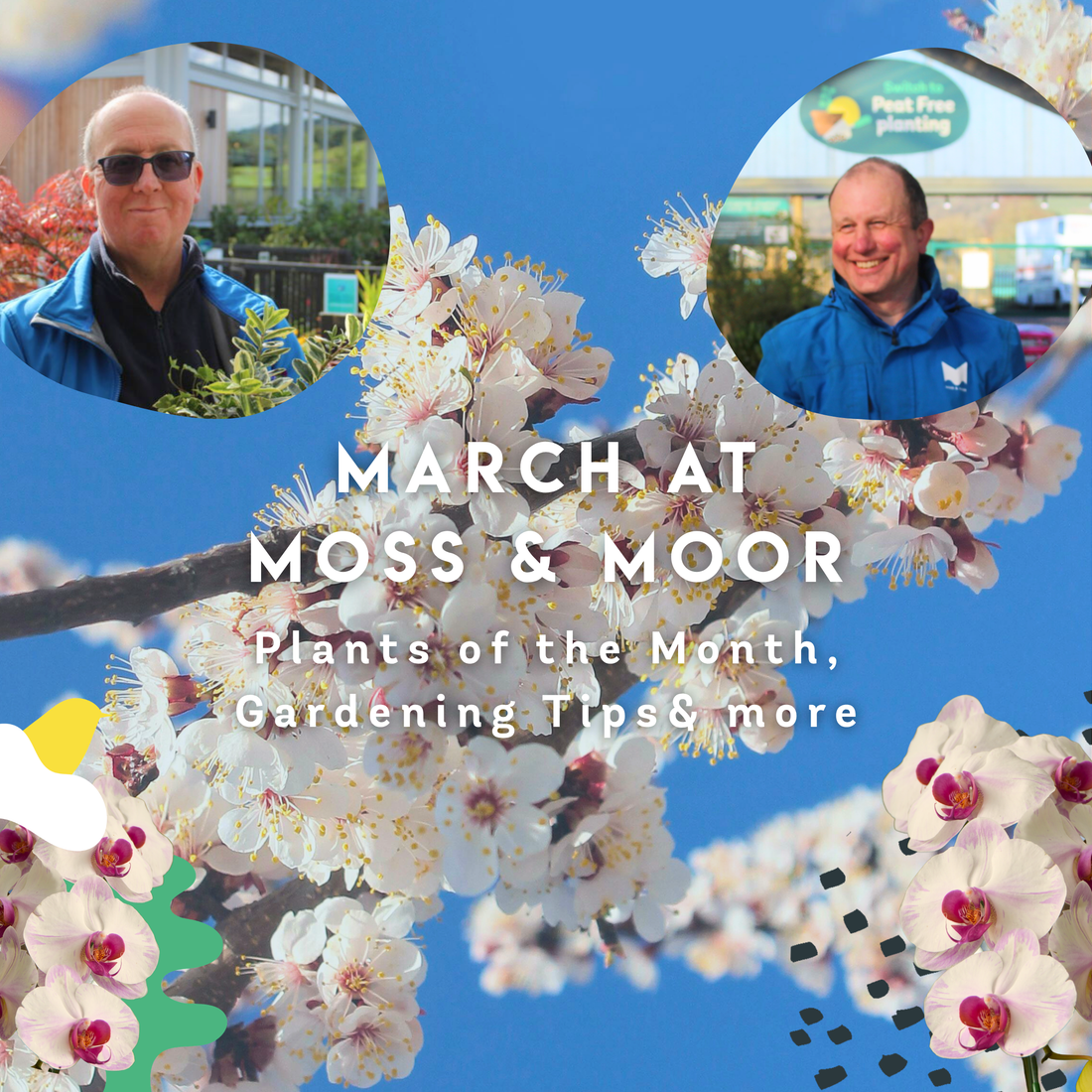 March Gardening in Yorkshire: Alex’s Tips & Our Plants of the Month