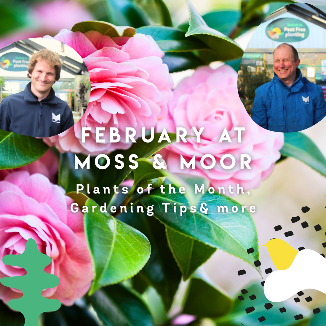 February Gardening in Yorkshire: Alex’s Tips & Our Plants of the Month