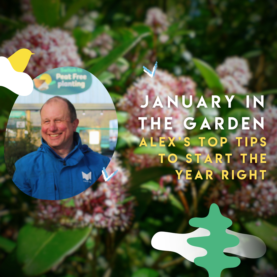 January in the Garden – Alex’s Top Tips to Start the Year Right