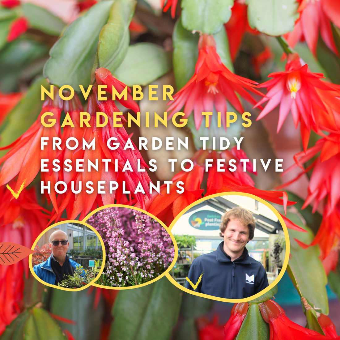 November Gardening Tips | Moss & Moor