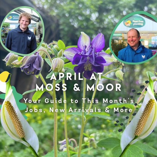 What’s Happening in the Garden This April?🌱