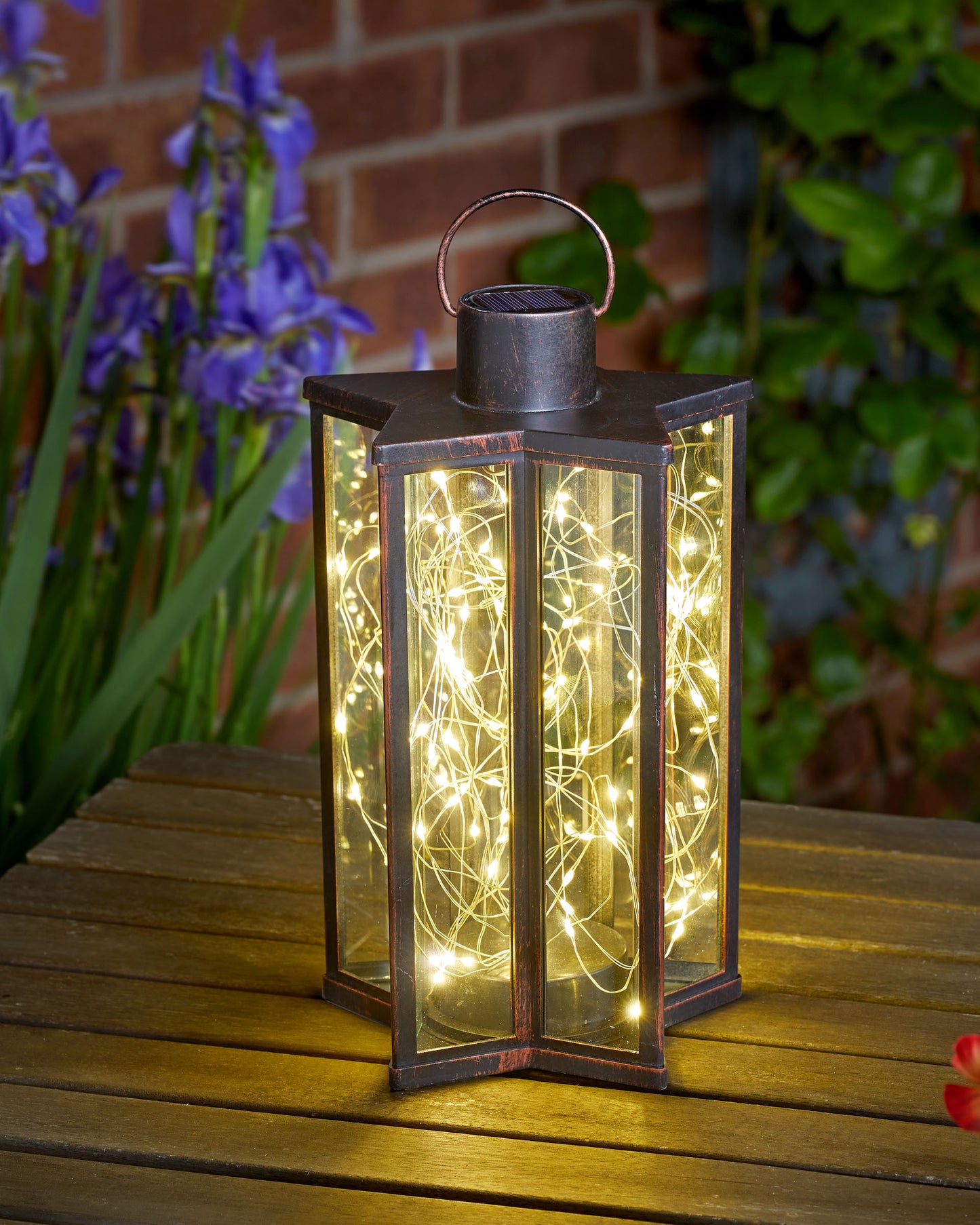 Firefly star