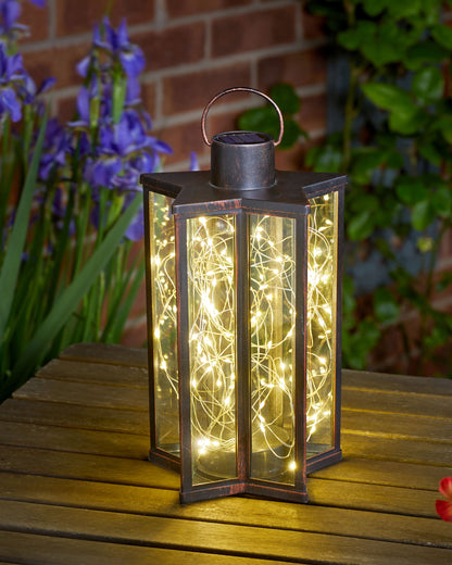 Firefly star
