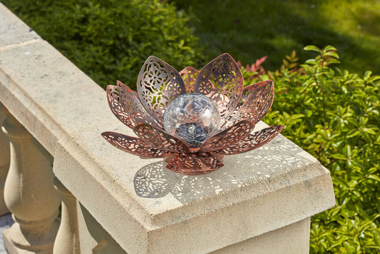 Damasque Solar Lotus