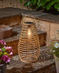 Venus Lantern