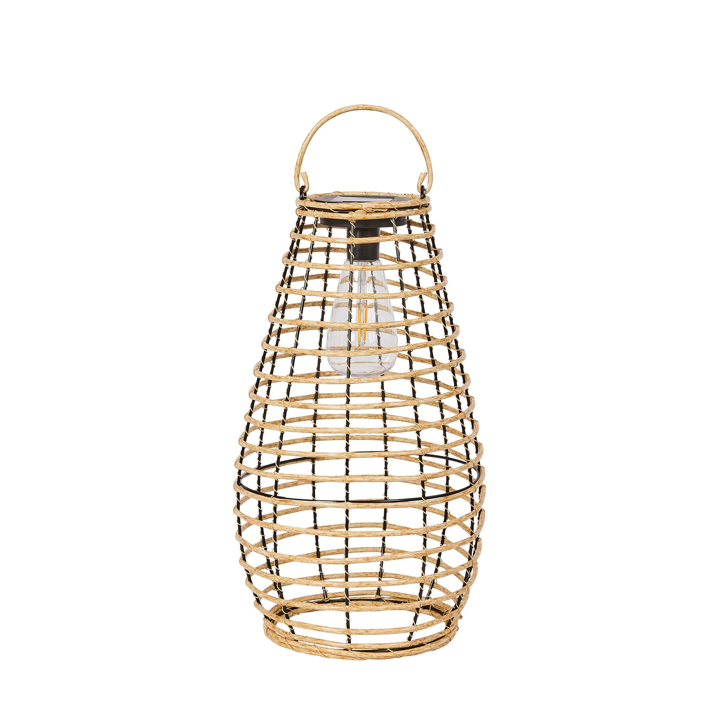 Venus Lantern