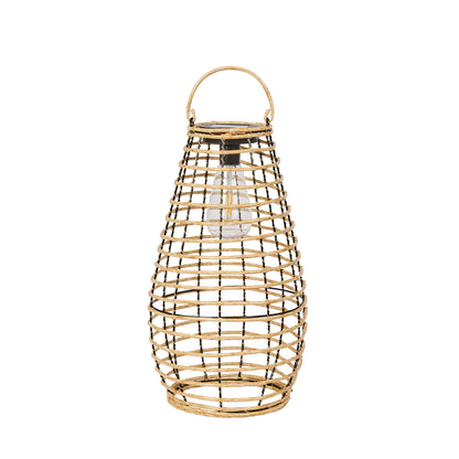 Venus Lantern