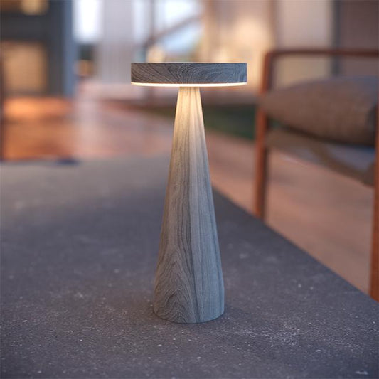 Seattle Ash Solar Table Light