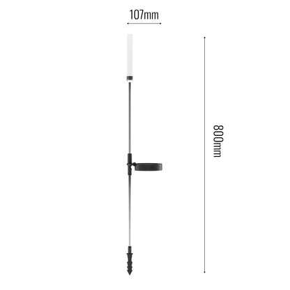 Radlett Solar Reed Light (Set Of 2)