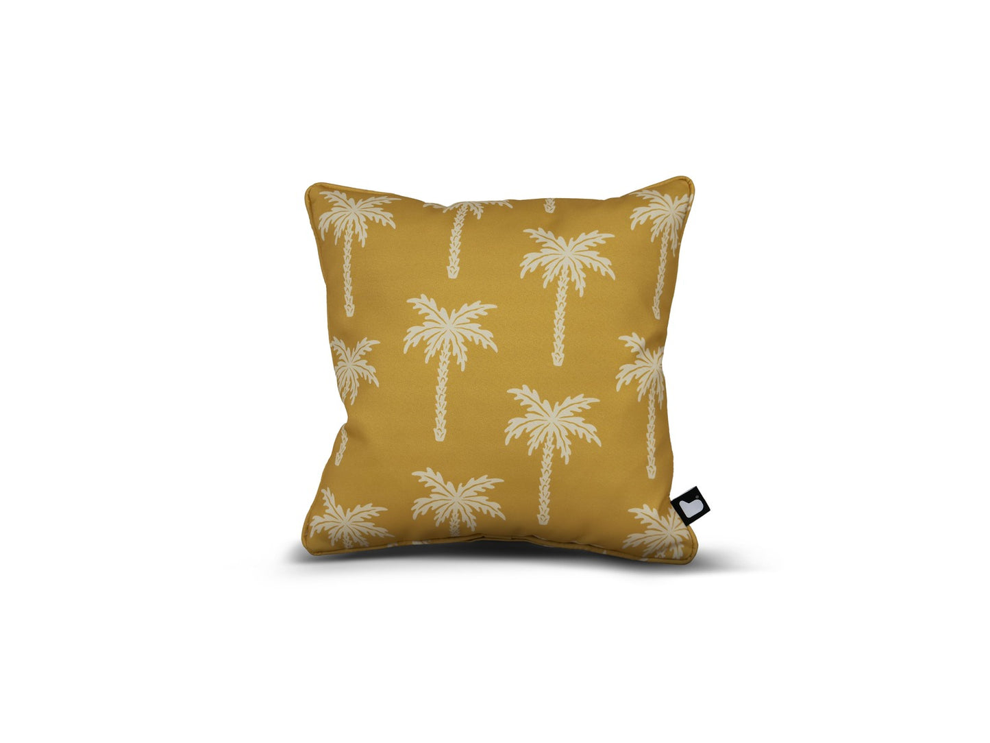B Cushion Palm