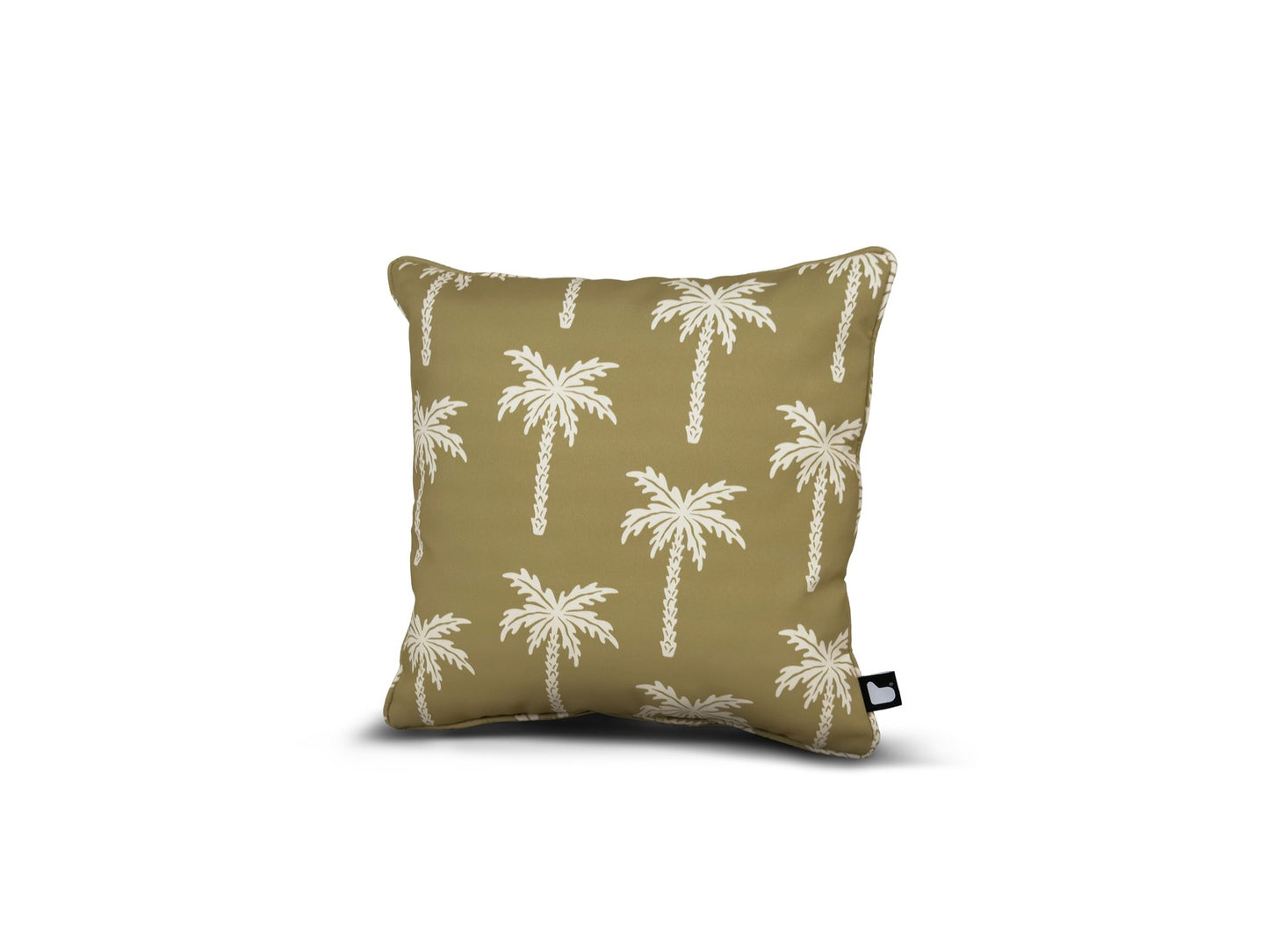 B Cushion Palm