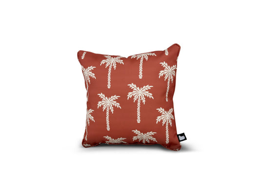 B Cushion Palm