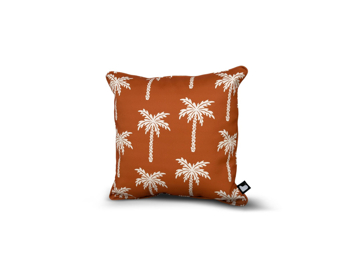 B Cushion Palm