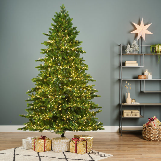 Galloway Spruce LED 8ft Pre-Lit Christmas Tree