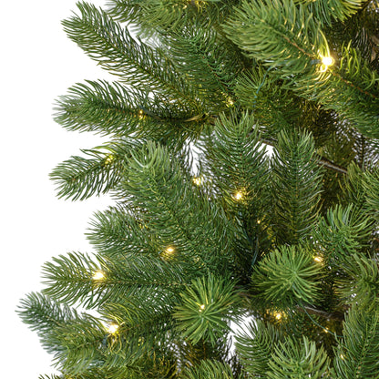 Kenmore Fir LED 7ft Pre-Lit Christmas Tree