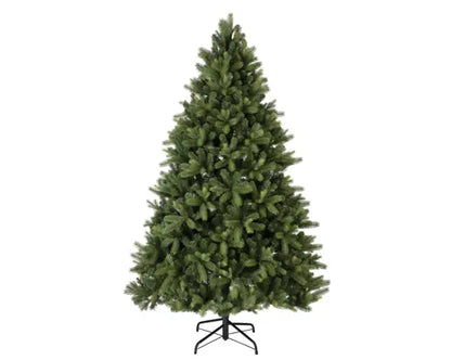 Pre-order Freiburg Pine 180cm