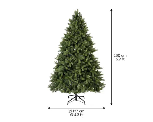 Pre-order Freiburg Pine 180cm