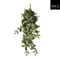 Tradescantia Hanging Green