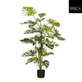 Monstera Tree Green