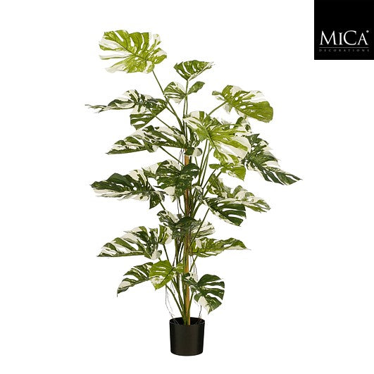 Monstera Tree Green