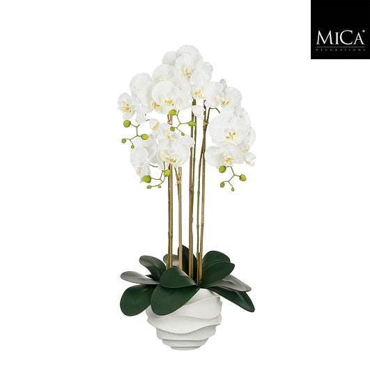 Phalaenopsis In Pot White - L40 x w34 x h82cm