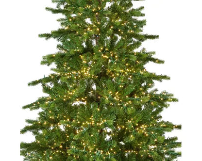 Pre-order Galloway Spruce LED 240cm