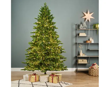 Pre-order Galloway Spruce LED 240cm