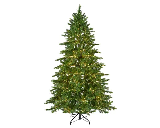 Pre-order Galloway Spruce LED 180cm