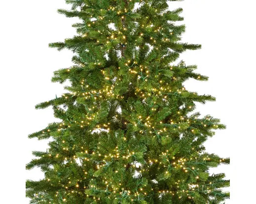 Pre-order Galloway Spruce LED 180cm