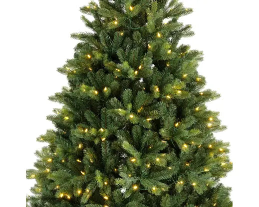 Pre-order Freiburg Pine LED 210CM