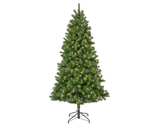 Pre-order Kenmore LED 210CM
