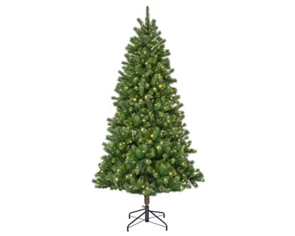 Pre-order Kenmore LED 210CM